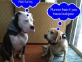 wally_gal_10