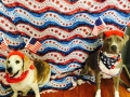 wally_gal_16