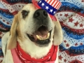 wally_gal_2