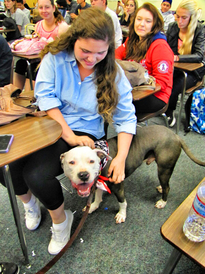 Elvis Visits Brea Olinda High School