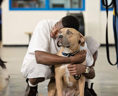 A Letter To The Men of Pawsitive Change at Corcoran State Prison